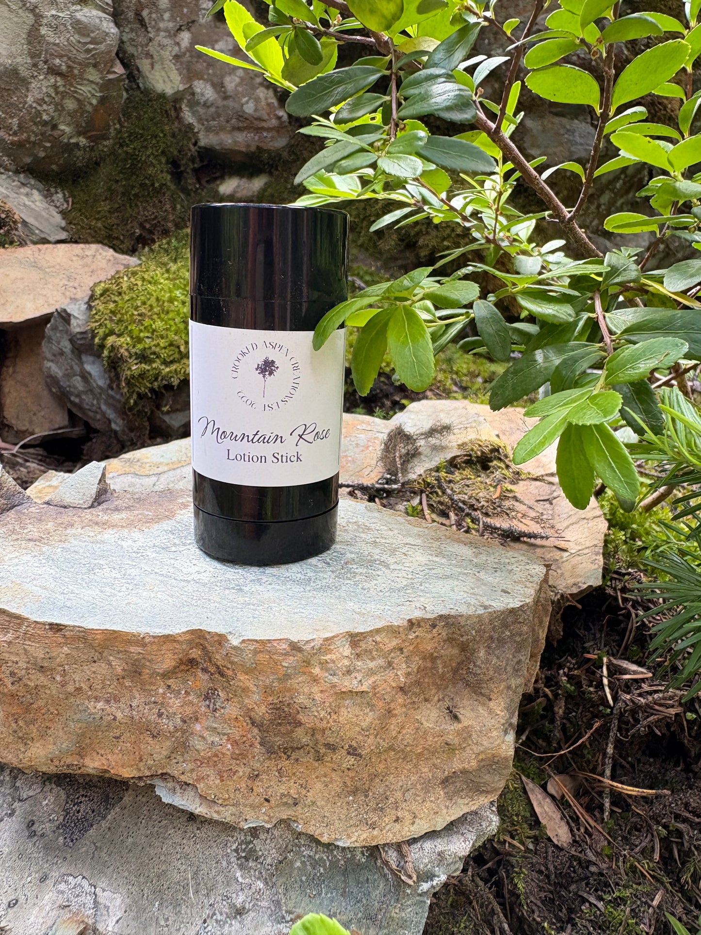 Mountain Rose Solid Lotion