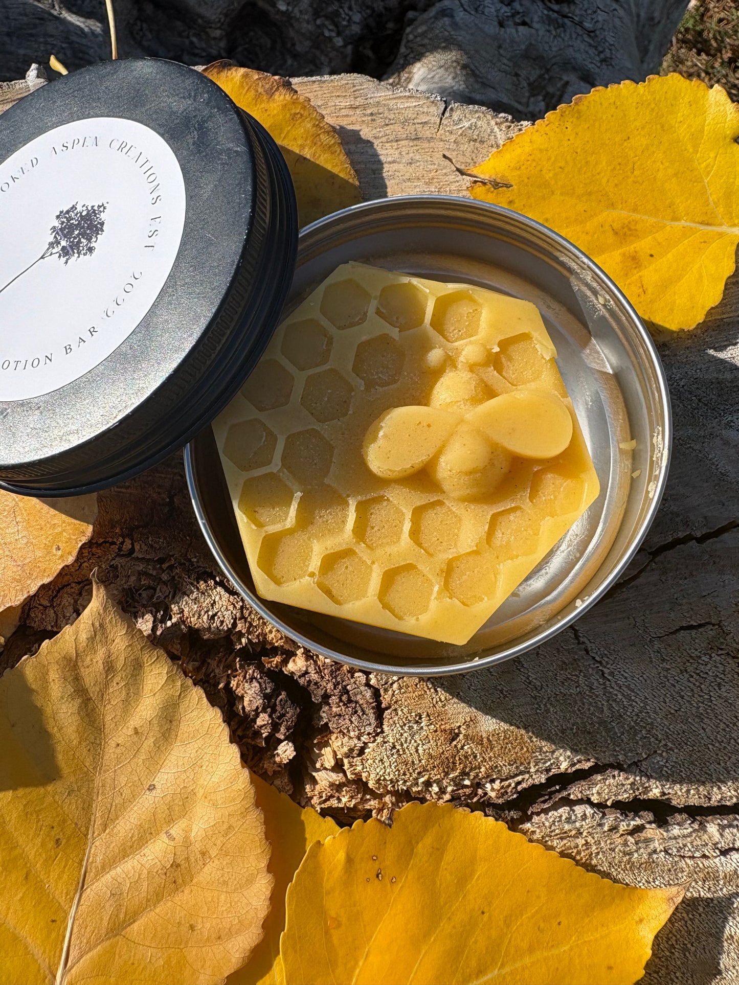 Autumn Air Solid Lotion