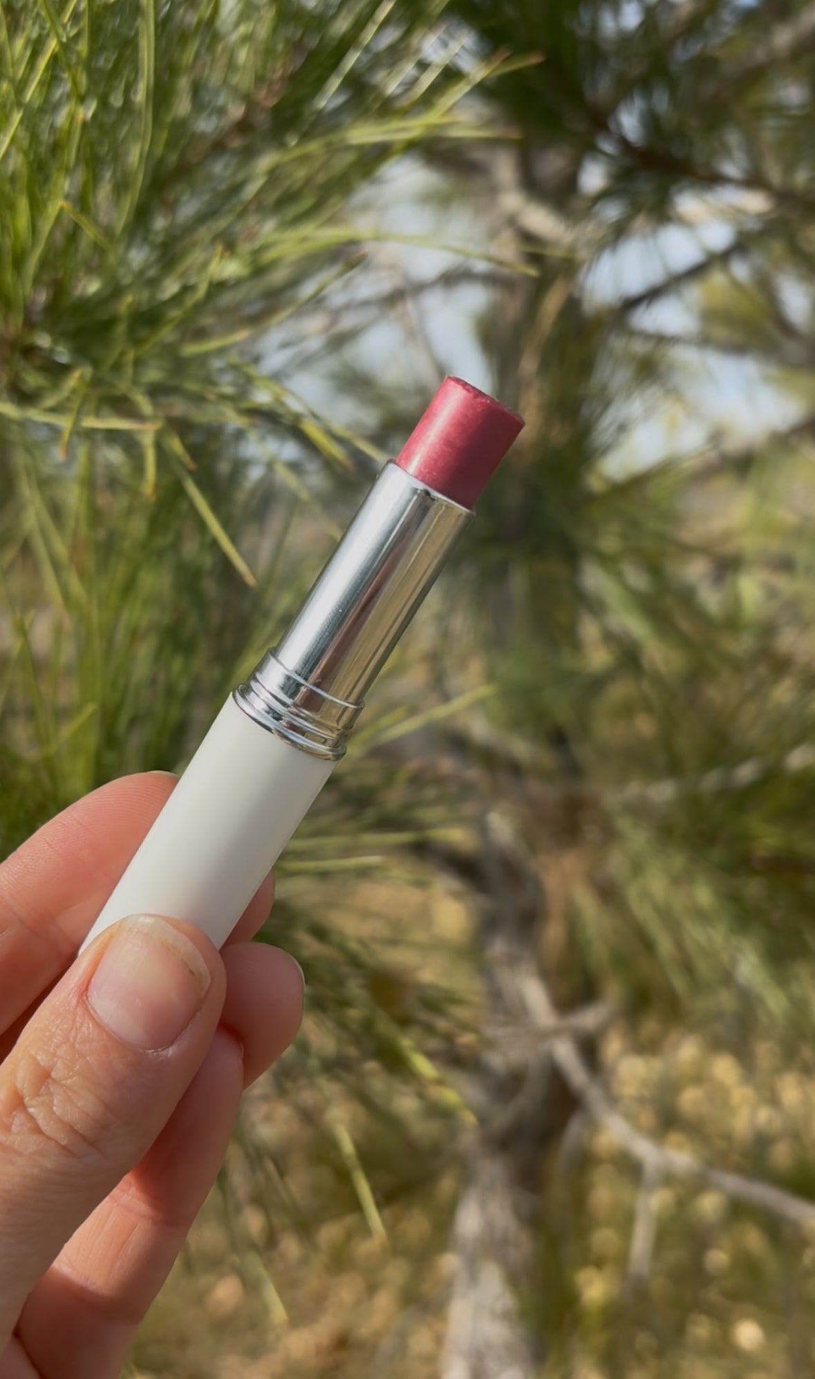 Tinted Lip Balm