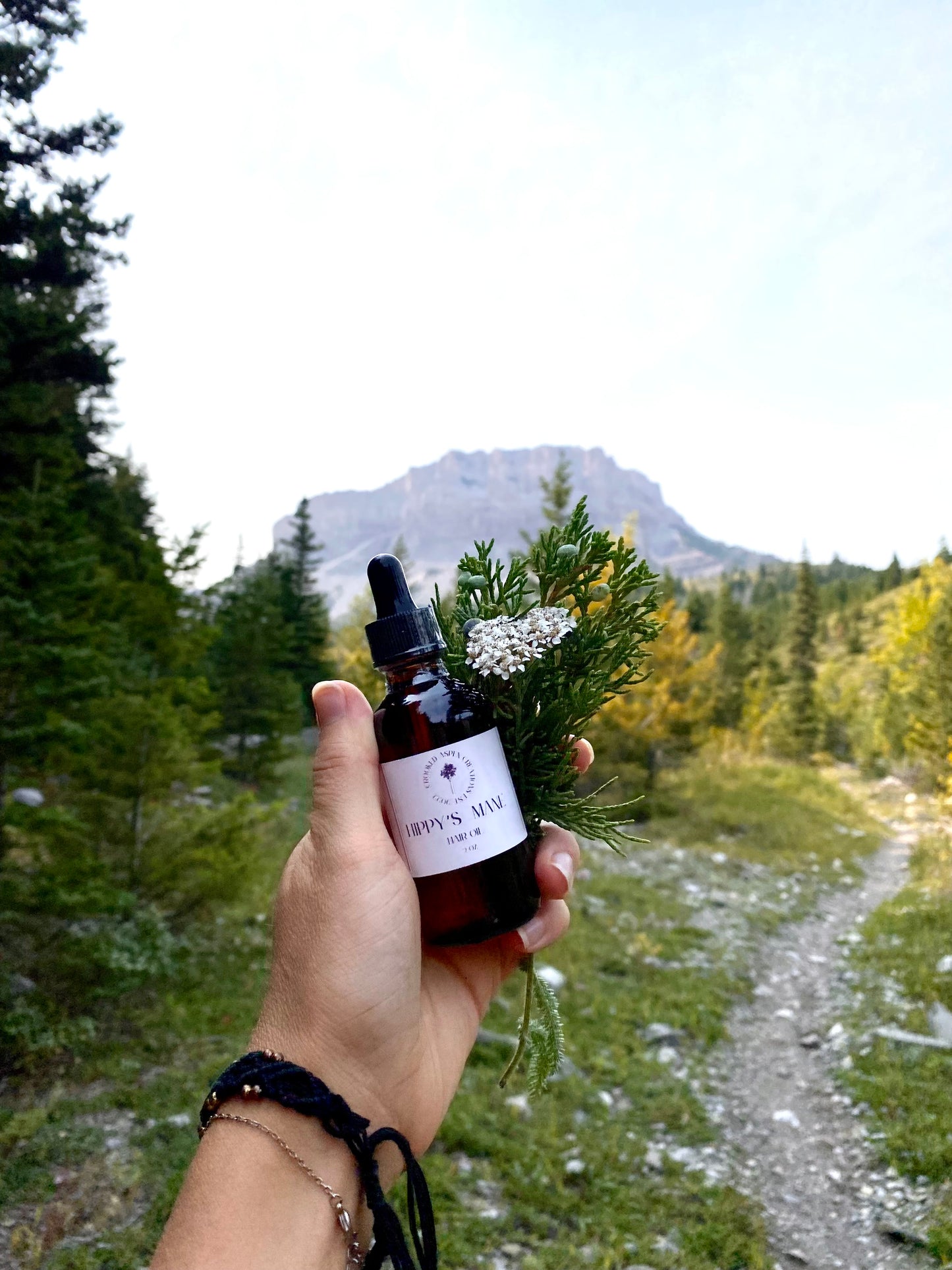 Hippy’s Mane Hair Oil